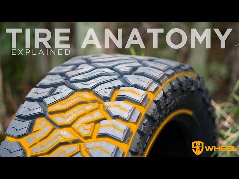 Anatomy of a Tire