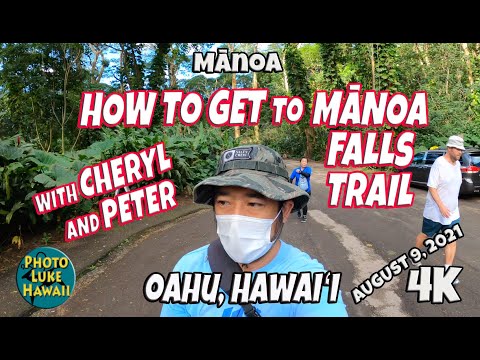 How to Get to Manoa Falls Trail August 9, 2021 Oahu Hawaii Where is the Manoa Falls Trail