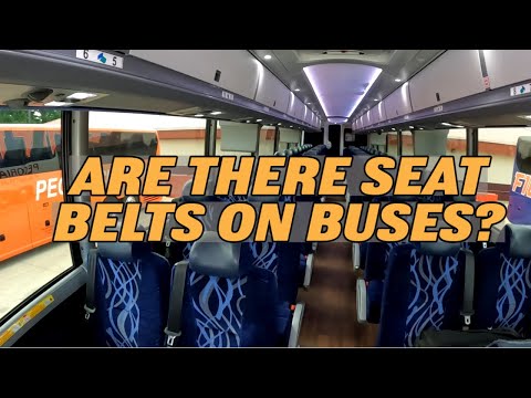 Do buses have seat belts?