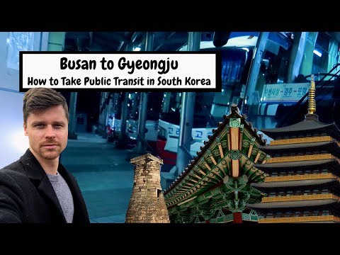 How to Travel by Bus in South Korea | Busan to Gyeongju