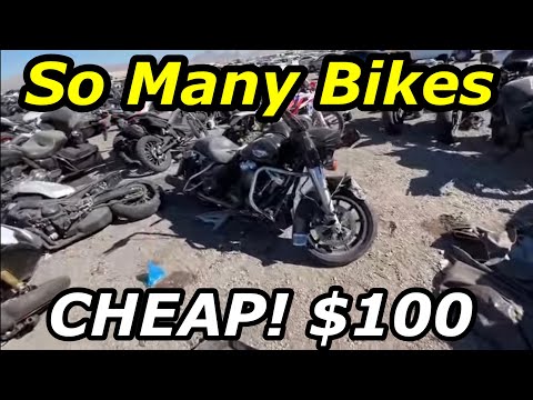 Copart Walk Around, Motorcycles, Many Cheap Harley Davidsons