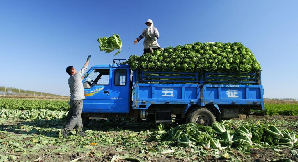 How Profitable is Truck Farming