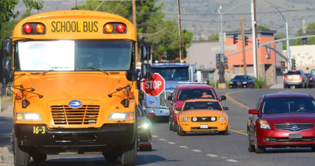 Why Are Some Buses and Cars Similar in Width