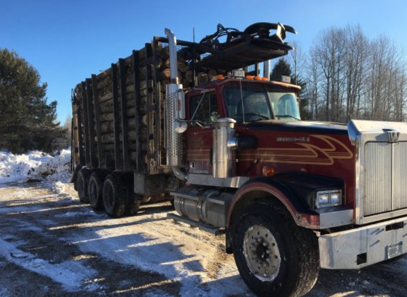 Estimating The Value Of A Truck Load Of Logs