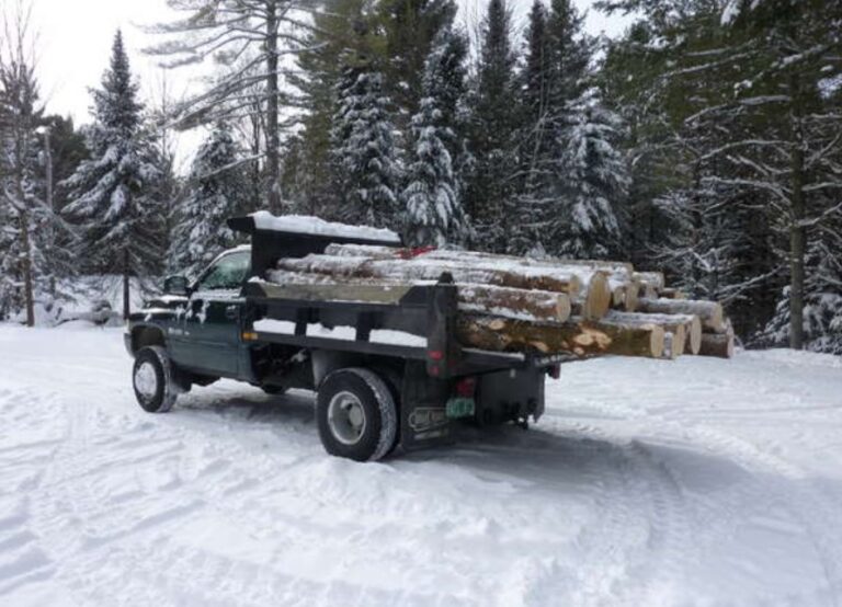 How Much Is A Truck Load Of Wood Worth? Quick Answer