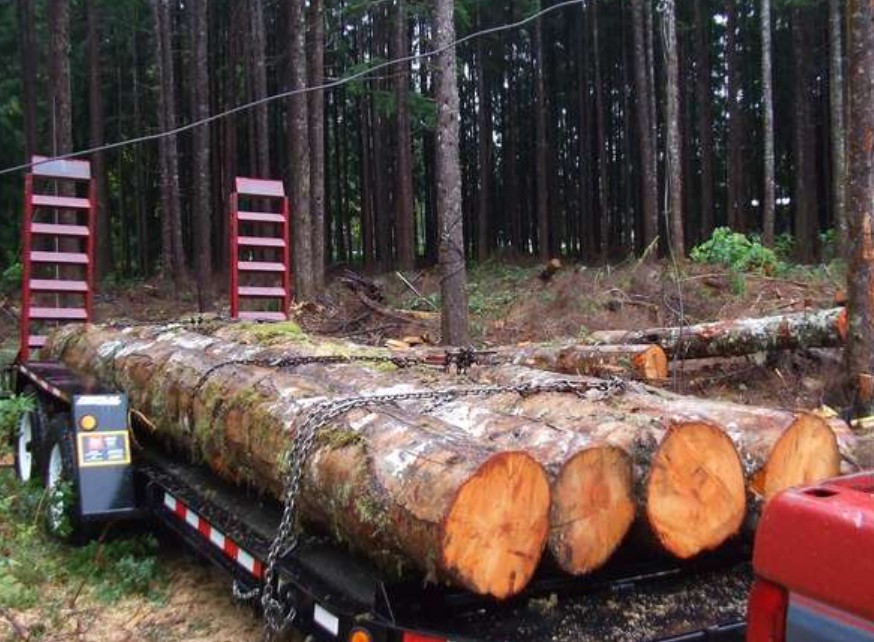 What Affects The Value Of Log Truck Loads