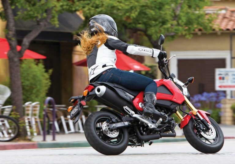 Do You Need A Bike License For A Honda Grom? Answered