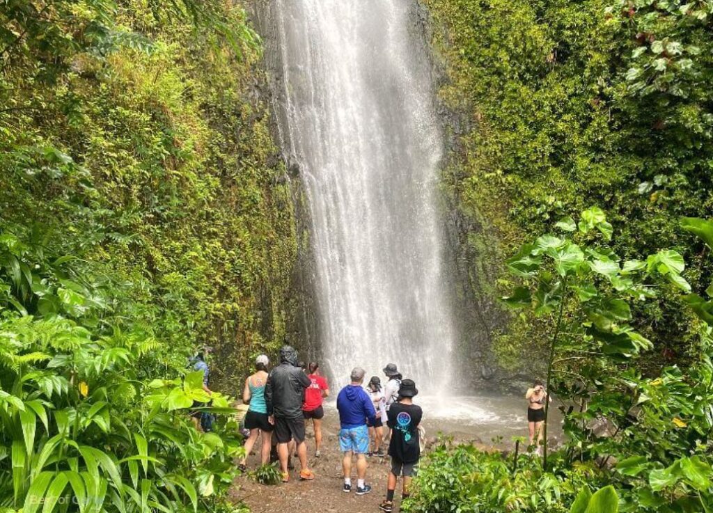 How To Get To Manoa Falls From Waikiki By Bus