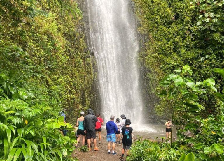 How To Get To Manoa Falls From Waikiki By Bus? Explained