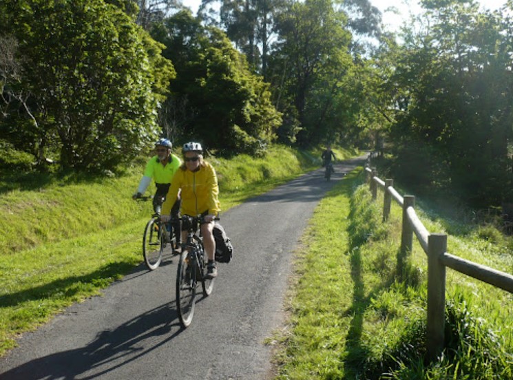 Will County Bike Trails? All You Need To Know